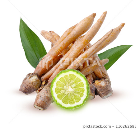Fingerroot, Kaempfer, Boesenbergia and Kaffir lime  slice top view on white background. 110262685