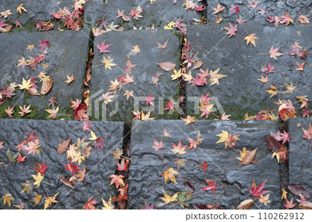 Kamakura December Myohonji Temple 10 110262912