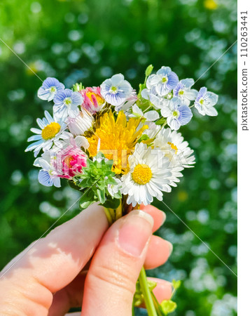 a small bouquet of wildflowers in the hands against the background of the river a small bouquet of wildflowers in the hands against the background of the river 110263441