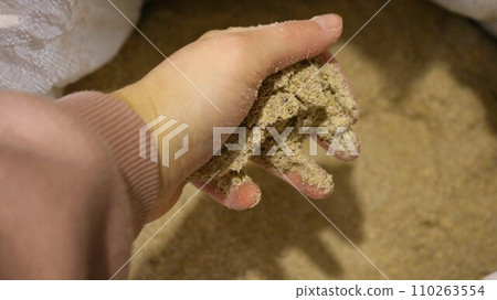 a hand taking a handful of crushed, finely ground dry combined feed for farm animals and poultry, demonstrating the quality and condition of homemade ground grain high-protein feed for domestic quails a hand taking a handful of crushed, finely ground dry combined feed for farm animals and poultry, demonstrating the quality and condition of homemade ground grain high-protein feed for domestic quails 110263554