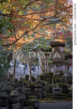 Kamakura December Hokokuji Temple 2 Autumn leaves 110263638