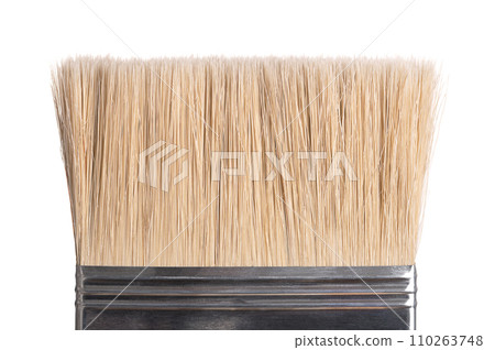 Closeup of paintbrush bristles of a very broad, thick and flat paintbrush, used for painting, to apply a lot of paint. Made by clamping the natural bristles to a metal ferrule and handle. Macro photo. 110263748