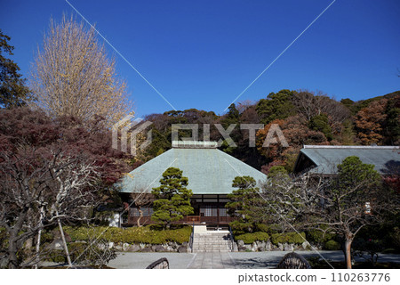 Kamakura December Jomyoji Temple 6 110263776