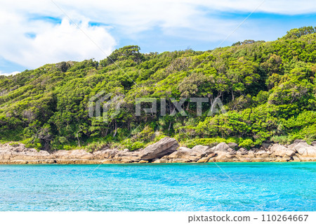 Beautiful panoramic tropical landscape of the Similan Islands, Thailand 110264667