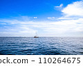Beautiful landscape of the Indian Ocean coast 110264675