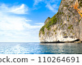 Beautiful tropical landscape of the Maya Bay in the Phi Phi Islands in Thailand 110264691