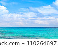 Beautiful landscape of the Indian Ocean coast 110264697