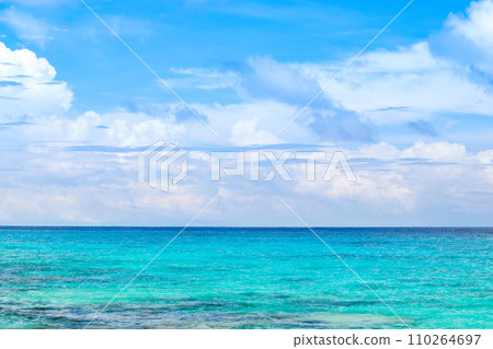 Beautiful landscape of the Indian Ocean coast Beautiful landscape of the Indian Ocean coast 110264697