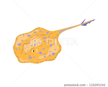 Stingray tail sea fish hand drawn vector illustration Stingray tail sea fish hand drawn vector illustration 110265242
