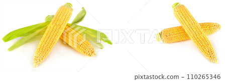 Corn on the cob isolated on white. Collage. Wide photo. Free space for text. 110265346