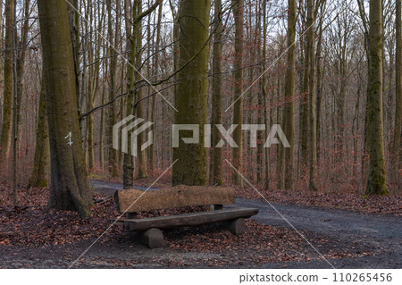 Outdoor wooden picnic table in a forest in autumn Outdoor wooden picnic table in a forest in autumn 110265456