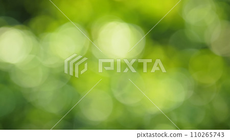 Sparkling scenery with blurred beads 110265743