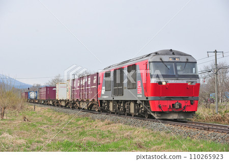 根室本線 新德十勝清水 JR Freight DF200-3（鷲別） 110265923