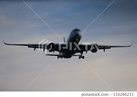 Passenger plane taking off and landing image Passenger plane taking off and landing image 110266231