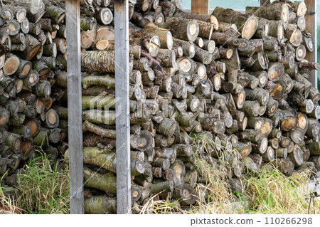 Stacked firewood 110266298