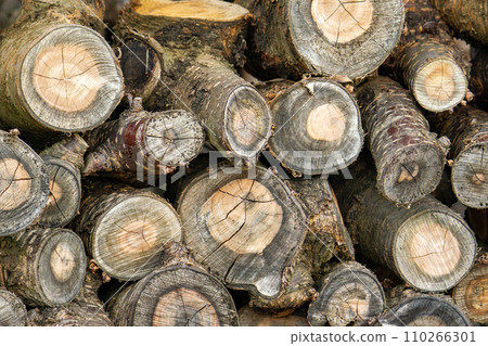 Stacked firewood Stacked firewood 110266301