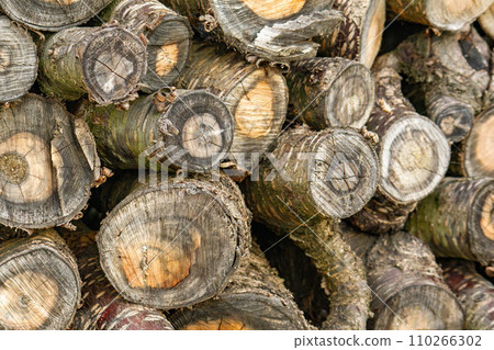 Stacked firewood Stacked firewood 110266302