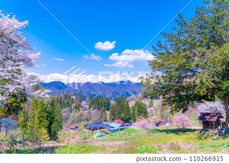 [Spring material] Superb view of spring, cherry blossoms at Ogawa Village Bansho [Nagano Prefecture] 110266915