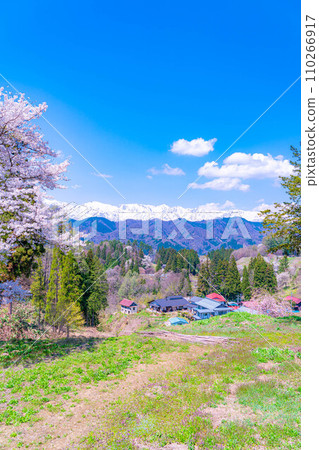 [春天的材料]春天的絕景，小川村番所的櫻花[長野縣] 110266917