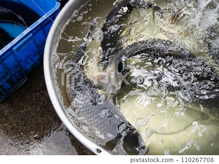 Vietnam Ho Chi Minh market scenery Vietnam Ho Chi Minh market scenery 110267708