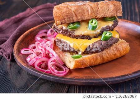 Beef and cheese sandwish 110268067