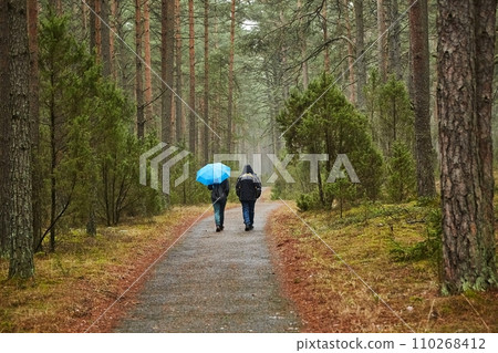 Forest walking route 110268412