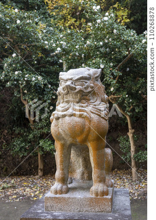 Kamakura December Amanawa Shinmei Shrine 6 Kamakura December Amanawa Shinmei Shrine 6 110268878