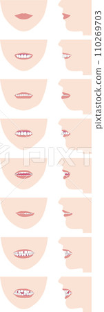 牙齒排列和咬合不正的類型。正面和輪廓的向量圖解 牙齒排列和咬合不正的類型。正面和輪廓的向量圖解 110269703