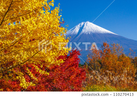 從秋天的里山眺望白雪皚皚的富士山 110270413