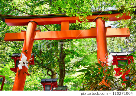 Kyoto Fresh Green Kifune Shrine Chugu Association (Kyoto City, Kyoto Prefecture) Kyoto Fresh Green Kifune Shrine Chugu Association (Kyoto City, Kyoto Prefecture) 110271004