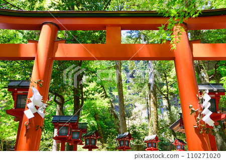 Kyoto Fresh Green Kifune Shrine Chugu Association (Kyoto City, Kyoto Prefecture) 110271020