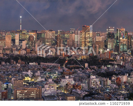 （東京）從 SHIBUYA SKY 看到的東京城市景觀 110271939