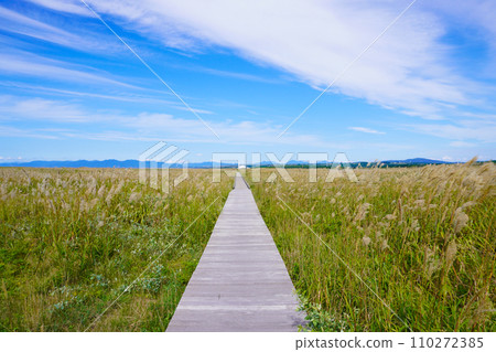 Hamanasu Hill Park (Ishikari City, Hokkaido) 110272385