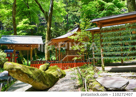 京都、鮮綠貴船神社、中宮神社、天野岩船、結(京都府京都市) 京都、鮮綠貴船神社、中宮神社、天野岩船、結(京都府京都市) 110272407
