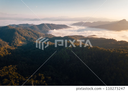 Aerial view of forest and mountain in fog with golden sunbeams at sunrise Aerial view of forest and mountain in fog with golden sunbeams at sunrise 110273247