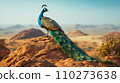 A lone Asian peacock perched atop a rock. 110273638
