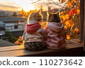 Two kittens wearing clothes, sitting and looking at the sun. 110273642
