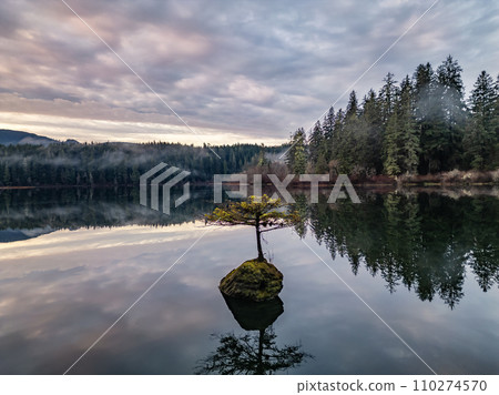 Bonsai Tree in Fairy Lake. Canadian Nature Landscape Background. Sunrise. 110274570