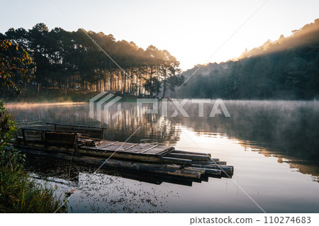 Reservoir and pine trees in the early morning at the park 110274683
