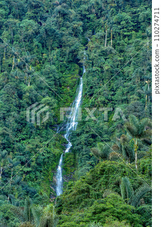Waterfall in Ciudad Perdida, ancient ruins in Sierra Nevada mountains. Santa Marta, Colombia wilderness 110274711