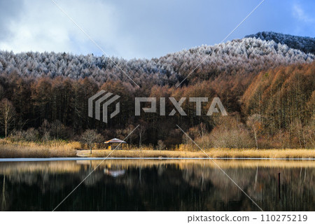 [Sacred Plateau] Hoarfrost in the larch forest [Lake Nakamaki] 110275219