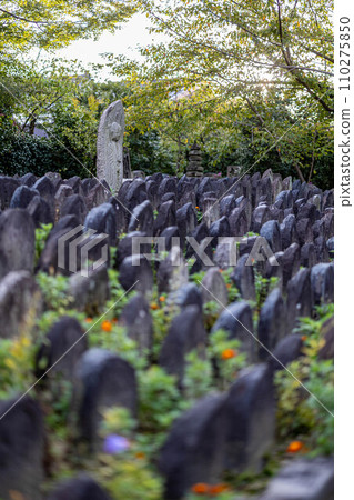 Autumn at Gangoji Temple in Nara 110275850