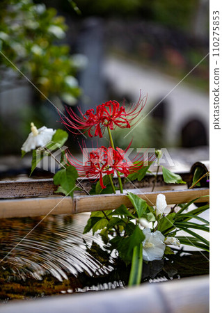 奈良元興寺的秋天 奈良元興寺的秋天 110275853