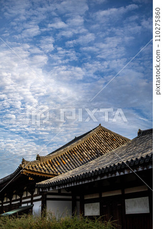 奈良元興寺的秋天 110275860
