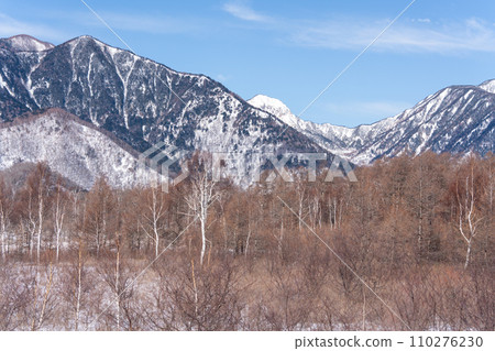 Nikko Senjogahara在冬天 Nikko Senjogahara在冬天 110276230