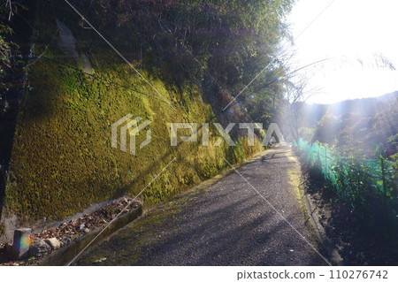 Mountain path in the foot 110276742