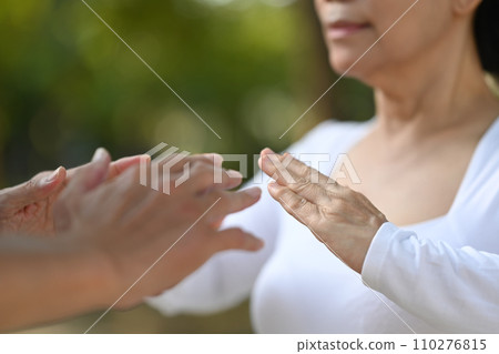 Senior couple doing Tai Chi exercises or Qigong for healthy flexible body in park. Balance and meditation concept. 110276815