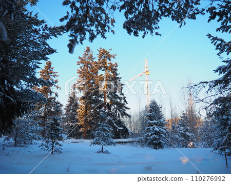 Creation of a new property in a deserted place, far from the city center. Pine winter forest. Lifting construction crane against the blue sky. The city's attack on the forest and nature. Ecology Creation of a new property in a deserted place, far from the city center. Pine winter forest. Lifting construction crane against the blue sky. The city's attack on the forest and nature. Ecology 110276992