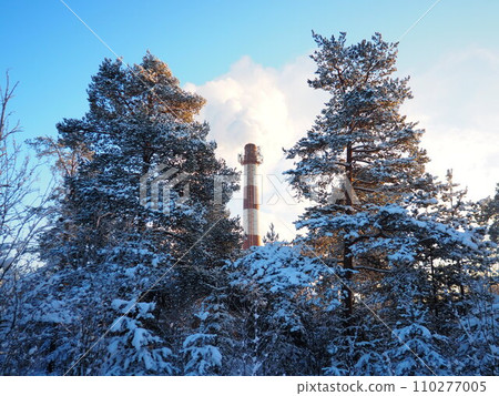 Smoke from a factory chimney. Ecological pollution. Air emissions polluting forest. Industrial waste. Industry metallurgical plant emissions. Smog and bad ecology. Central heating of CHP in winter. 110277005