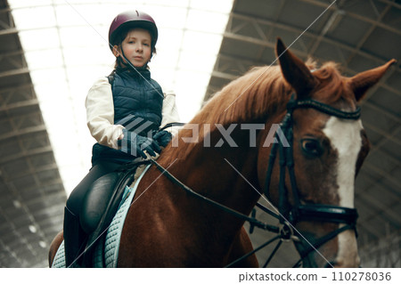Portrait of little girl, child in helmet sitting on brown horse, training, practicing horseback riding. 110278036